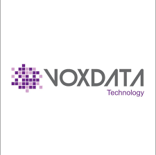 VoxData Technology